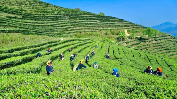 胜亿优配 援滇县长讲故事｜红河：哈尼族老人说，“上海亲人带来的不仅是项目更是希望”